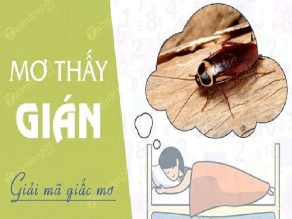 Đánh lô đẹp miền bắc khi mơ thấy con gián