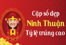 Thống kê XSNT 22-12-2023