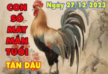 Nhận định con số may mắn tuổi Tân Dậu ngày 27/12/2023