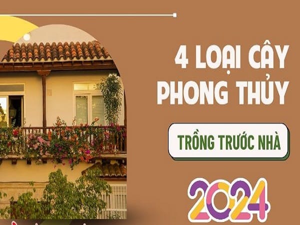 Cây phong thủy may mắn năm 2024 trồng trước nhà