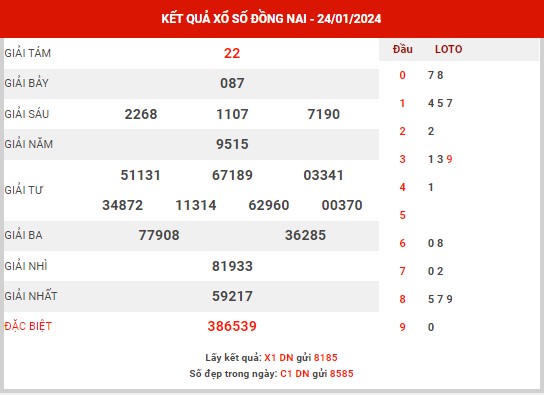 Nhận định XSDN ngày 31/1/2024 - Nhận định KQ xổ số Đồng Nai thứ 4