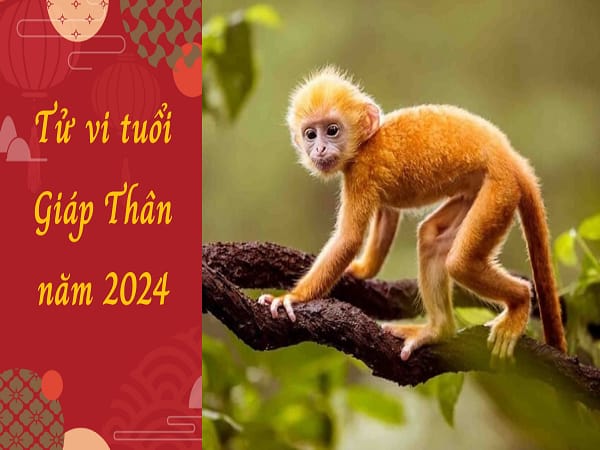 Tổng quan tử vi tuổi Giáp Thân năm 2024