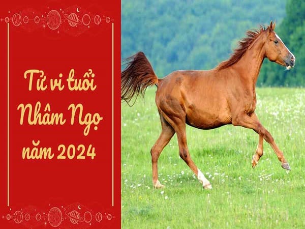 Tổng quan tử vi tuổi Nhâm ngọ năm 2024