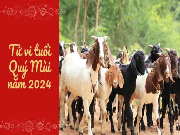 Tử vi vận hạn tuổi Quý Mùi năm 2024