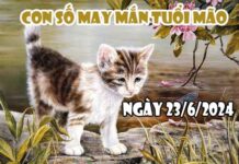 Nhận định con số may mắn tuổi Mão ngày 23/6/2024 hôm nay