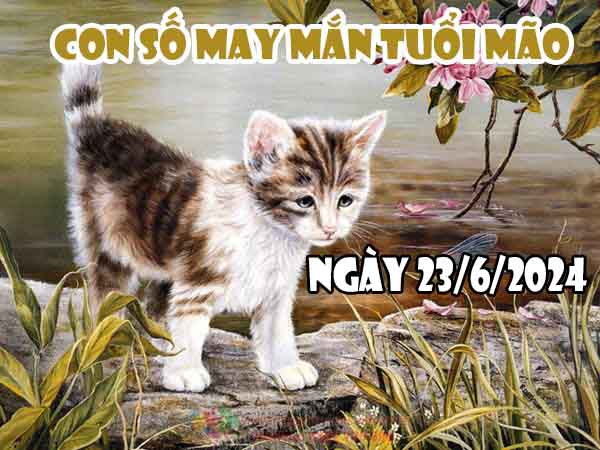 Nhận định con số may mắn tuổi Mão ngày 23/6/2024 hôm nay